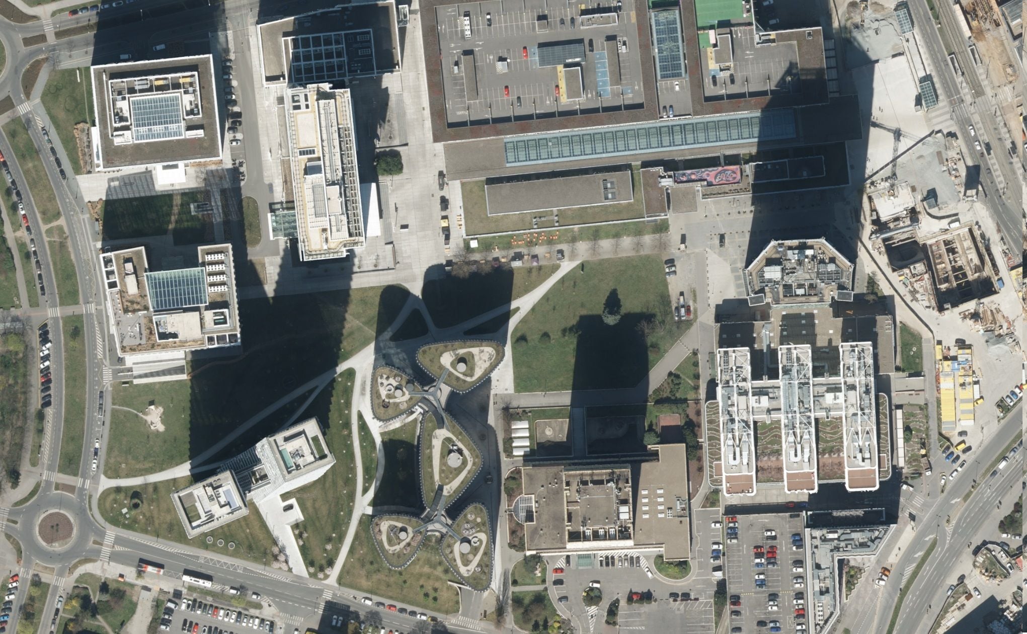True orthophoto